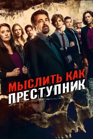 Мыслить как преступник (сериал 2005 – ...)