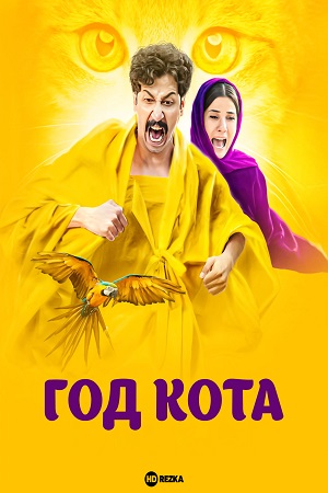 Год кота (2024)